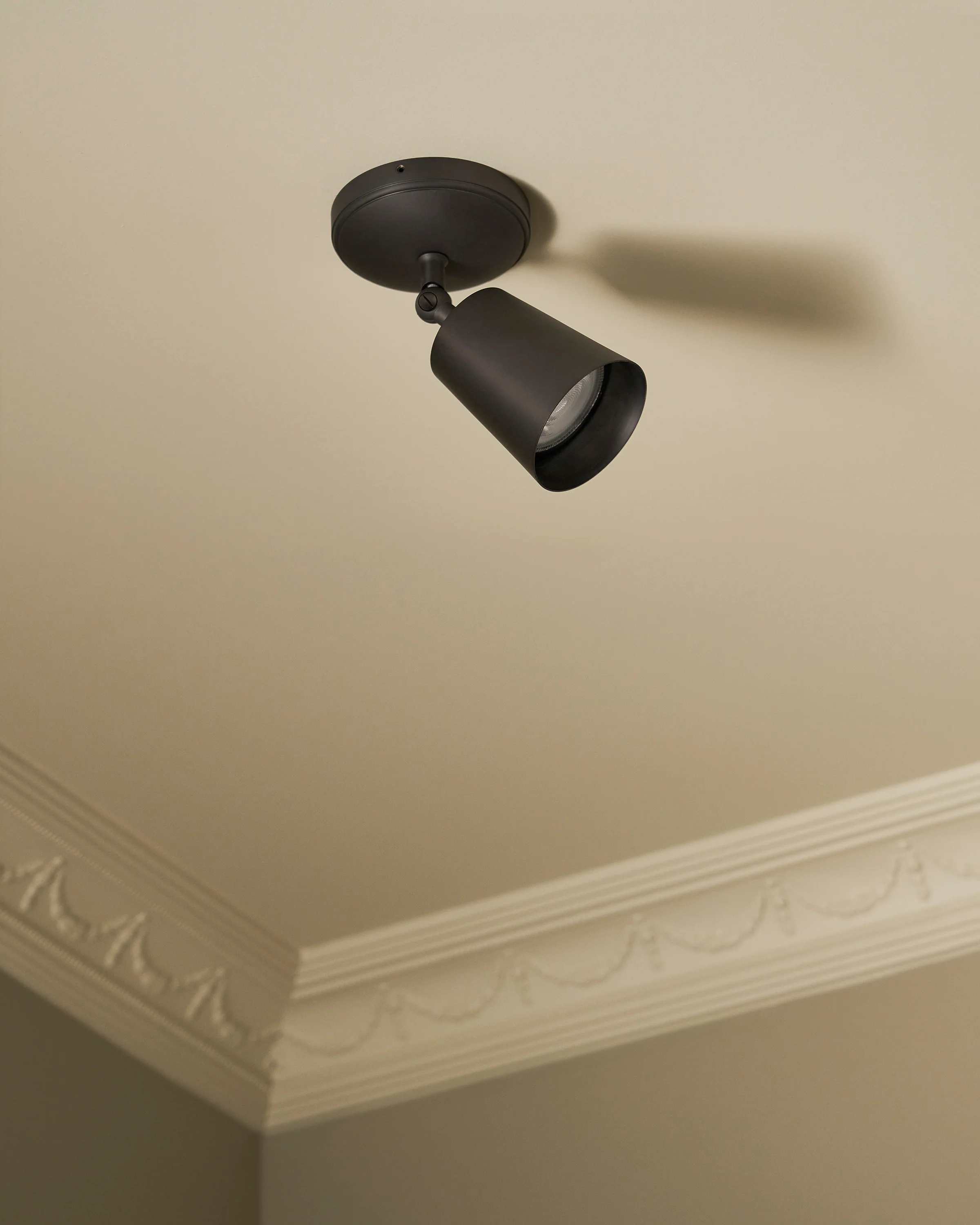 Baylis Single Large Spotlight - Image 4