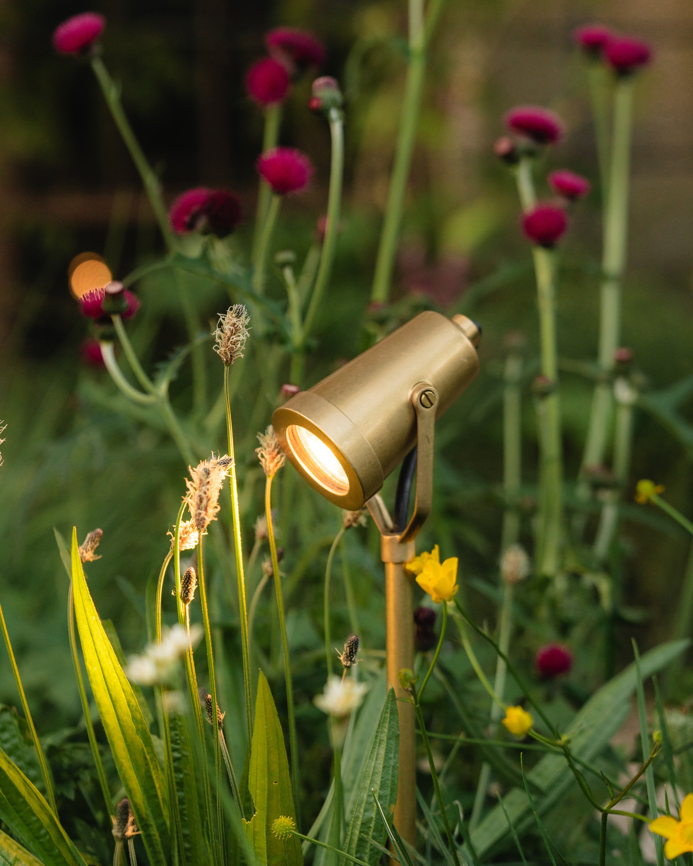 Cambridge Yard Spotlight 24V - Antique Brass - Image 3