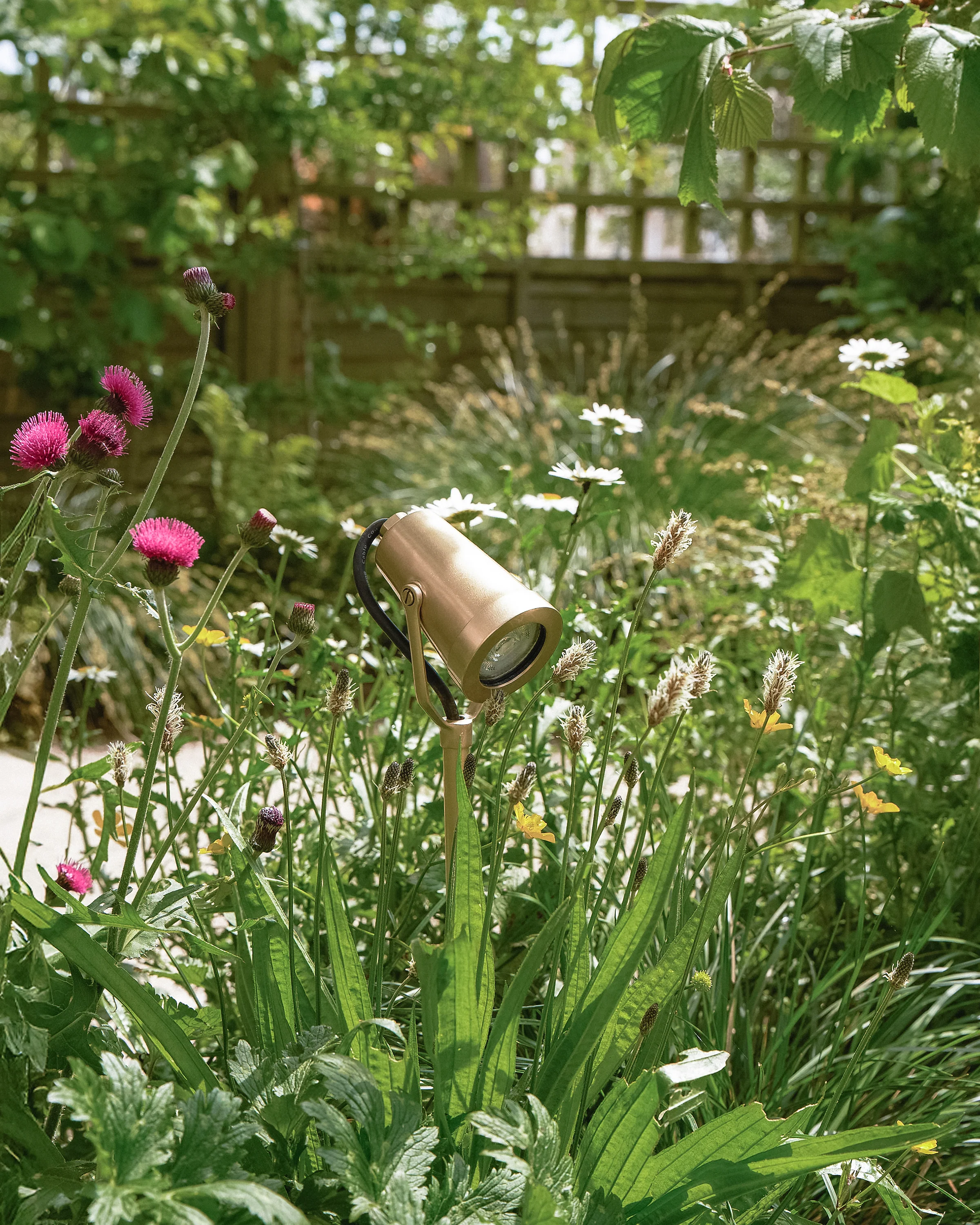 Cambridge Yard Spotlight 24V - Antique Brass - Image 6
