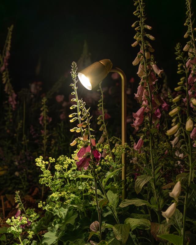 Ealing Path Spotlight - Antique Brass - Image 9