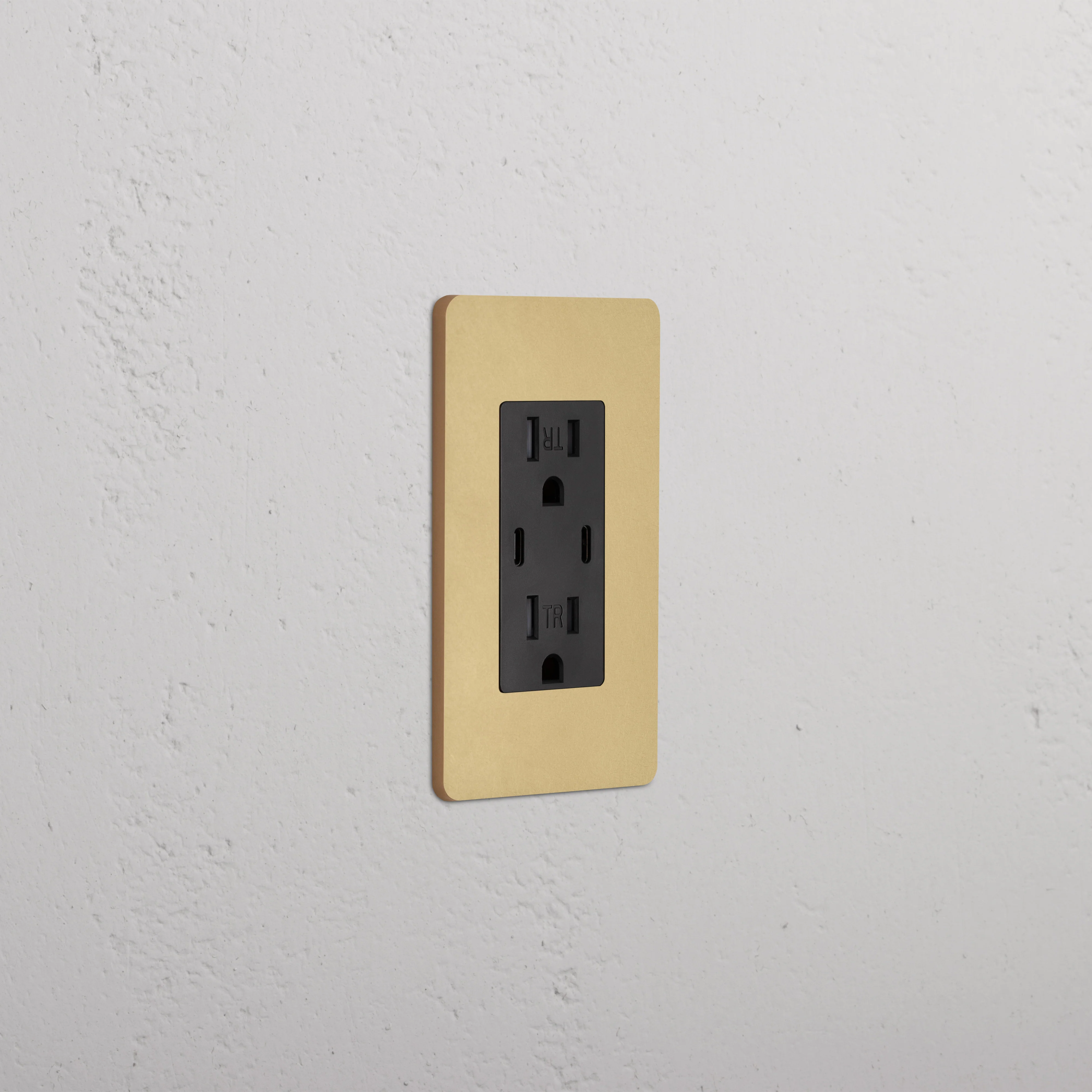Grove 1G 15A USB Outlet - Antique Brass Black