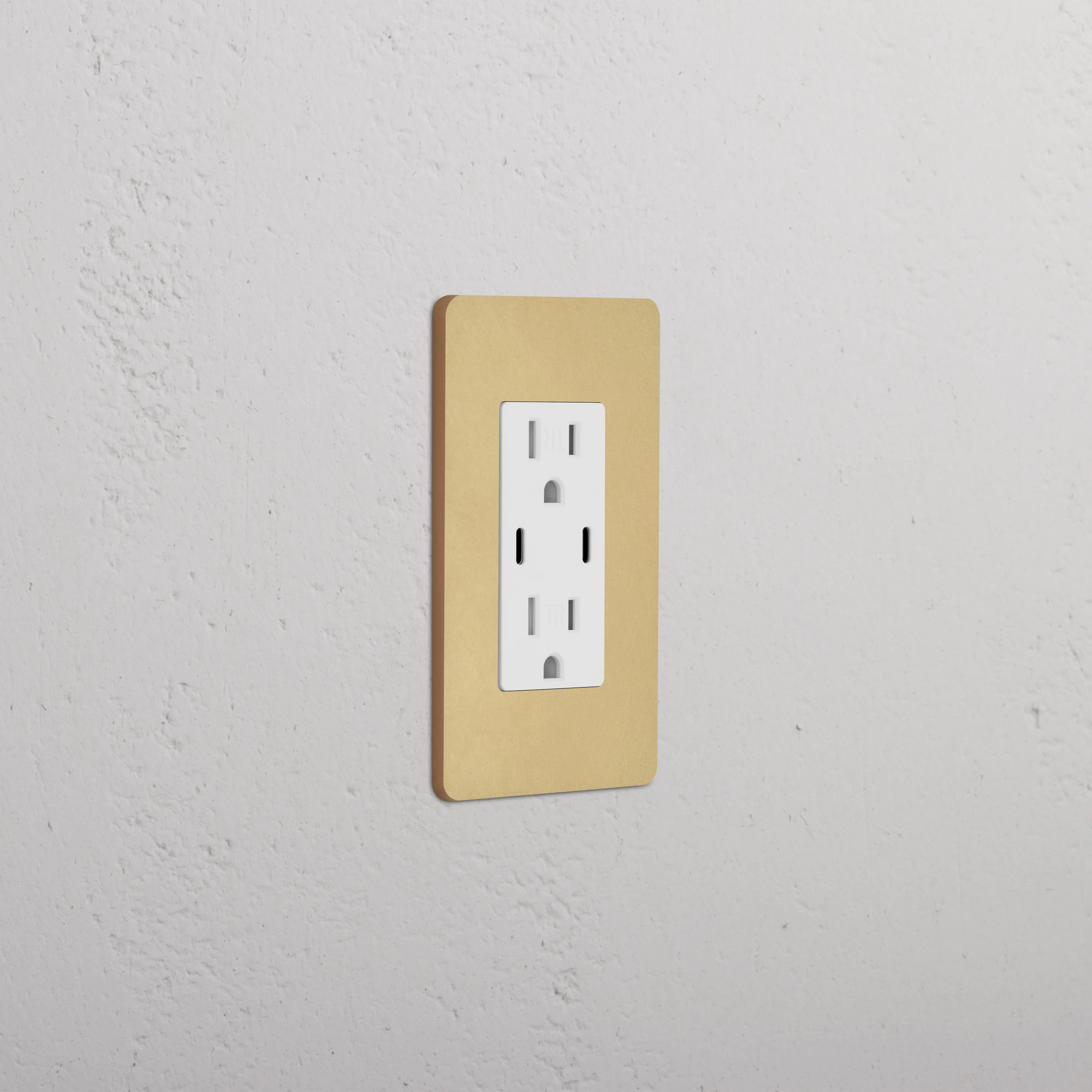 Grove 1G 15A USB Outlet - Antique Brass White