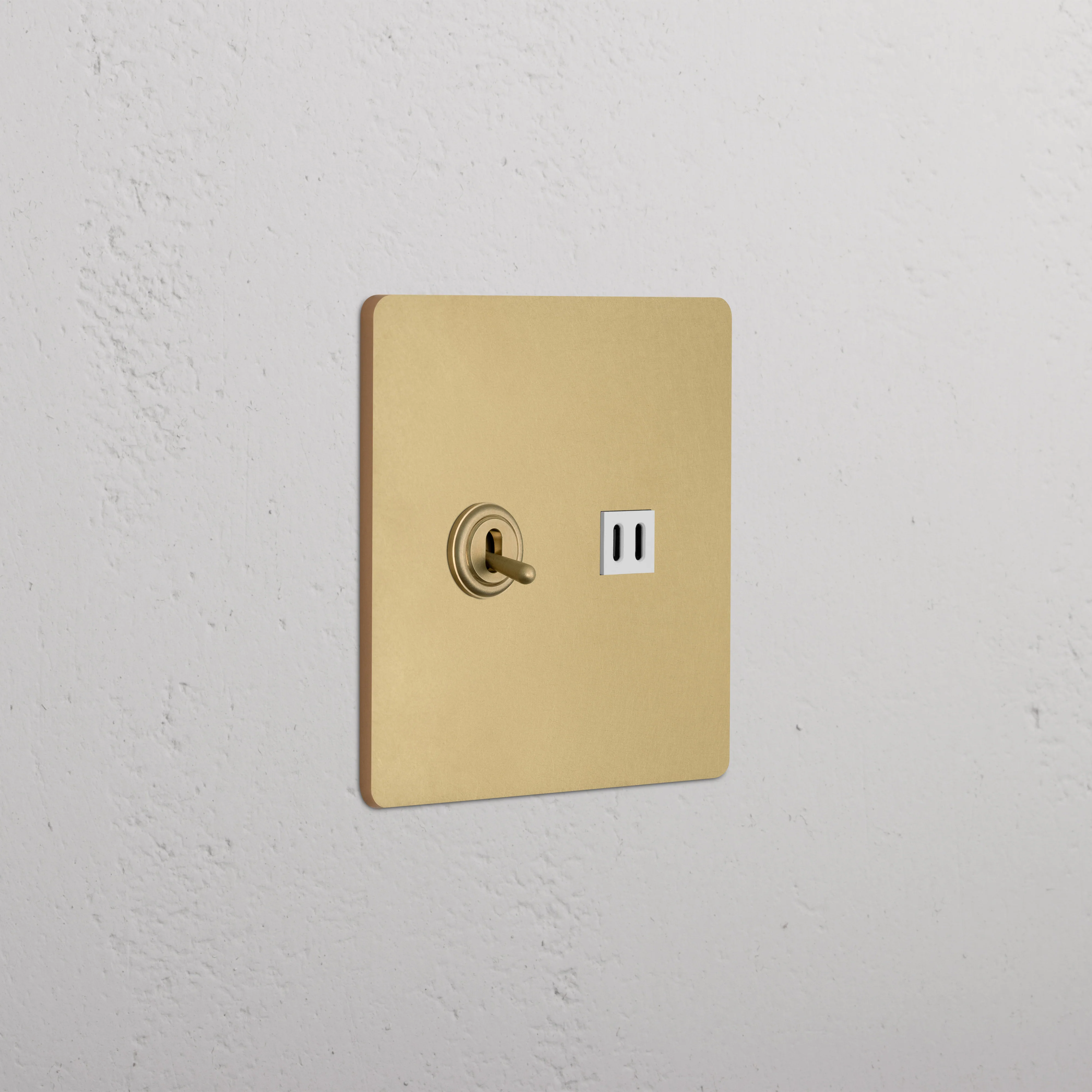 Grove 2G Toggle Switch & Fast Charge USB - Antique Brass White