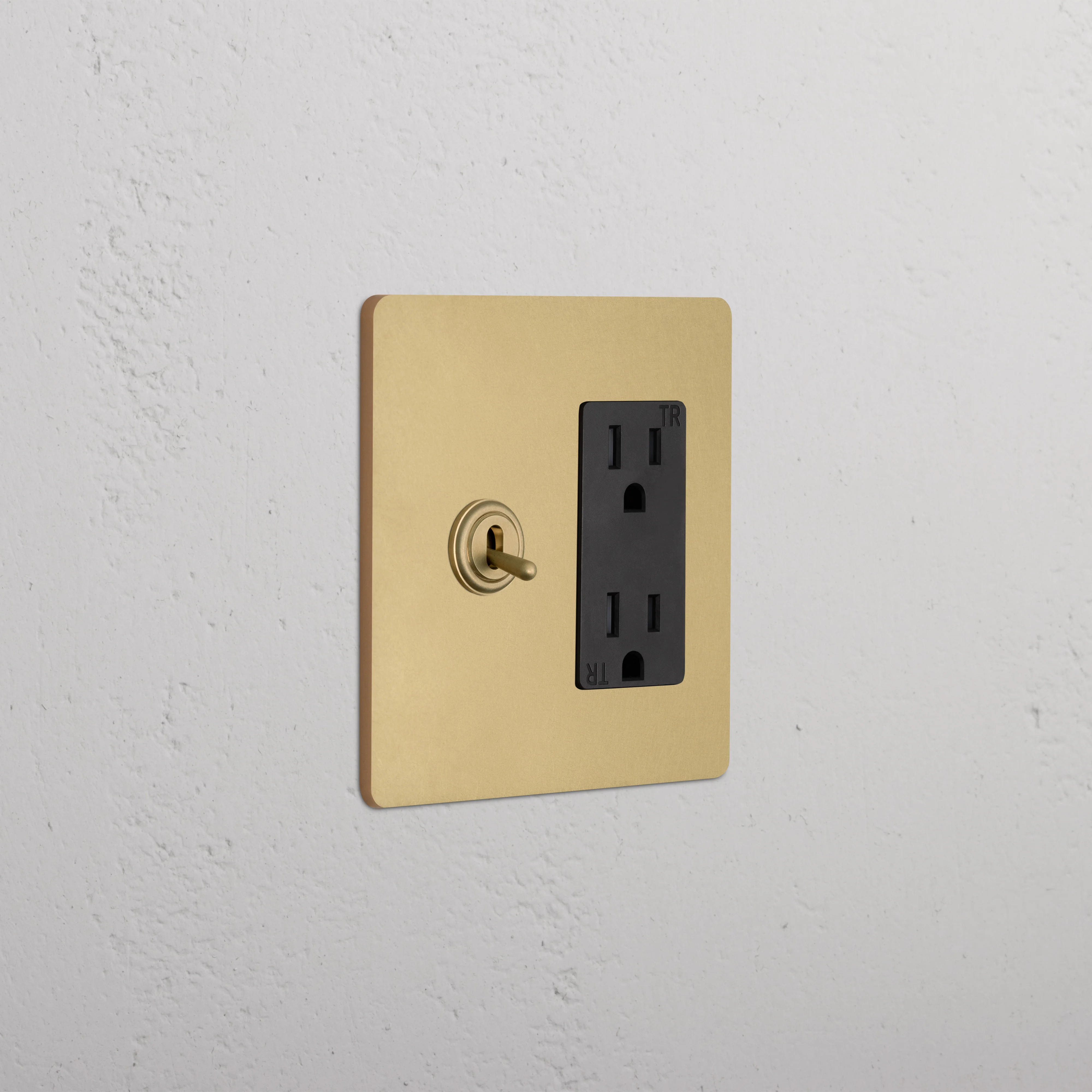 Grove 2G Toggle Switch & Outlet - Antique Brass Black