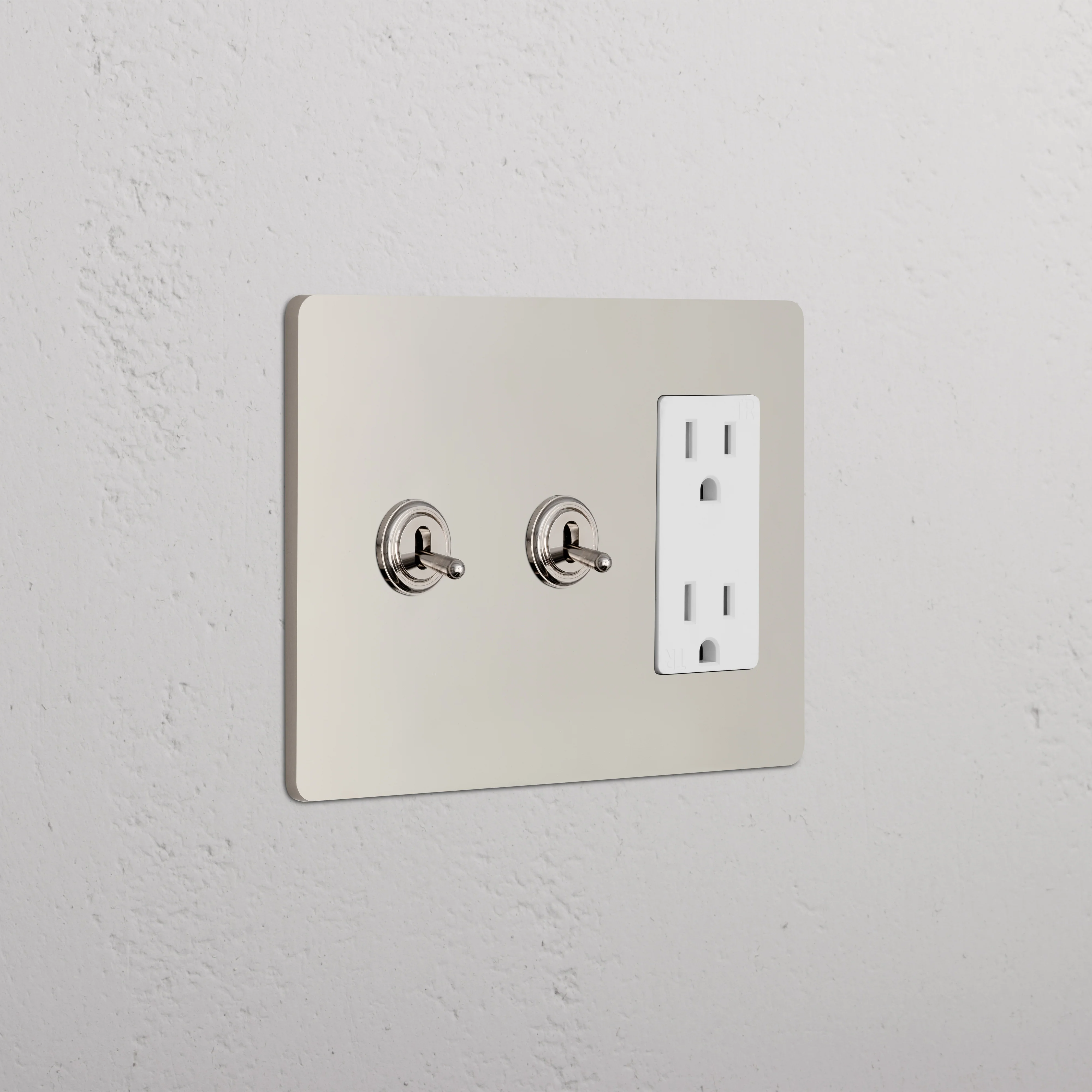 Grove 3G 2x Toggle Switch & Outlet - Polished Nickel White
