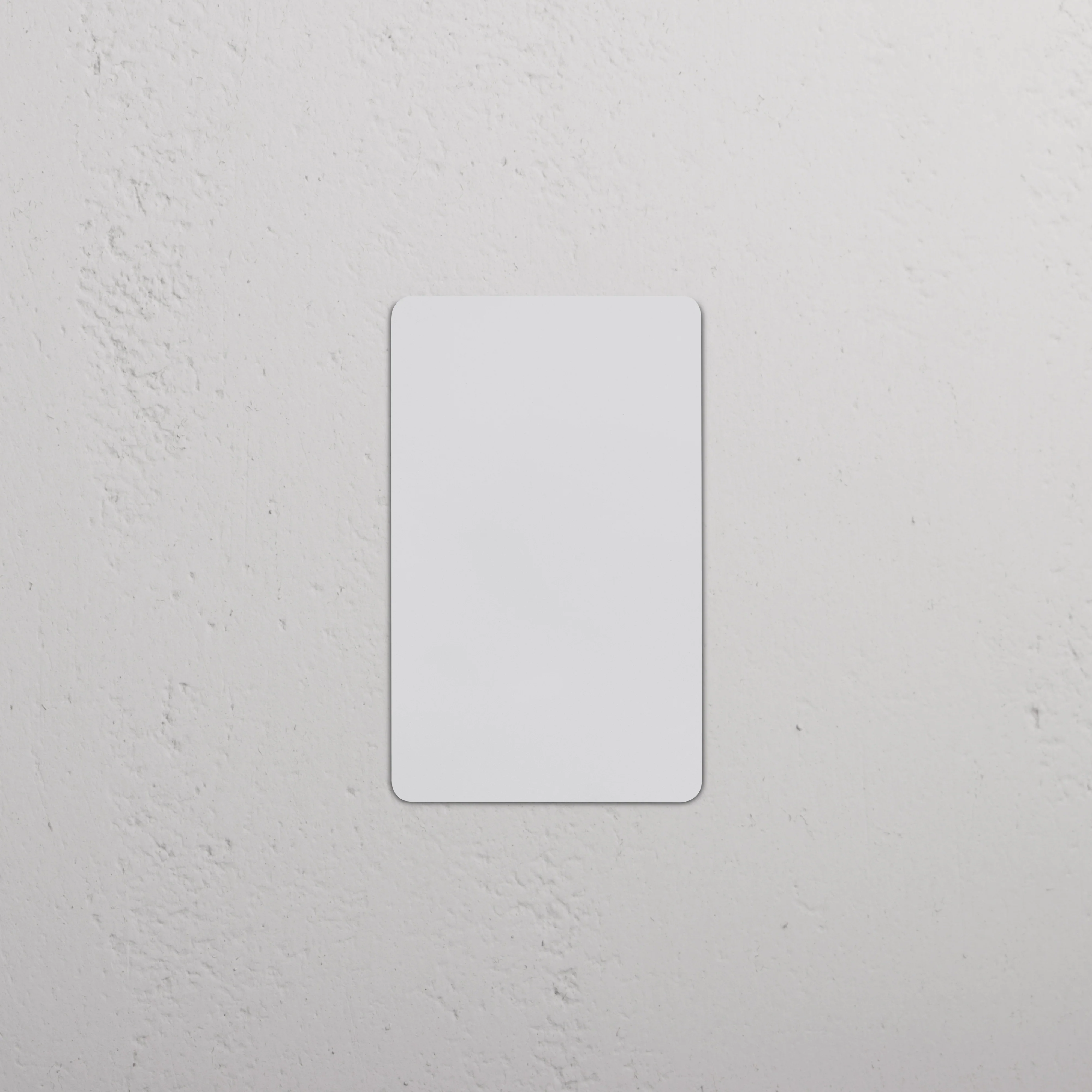 Kew 1G Blank Plate - Paintable - Image 2