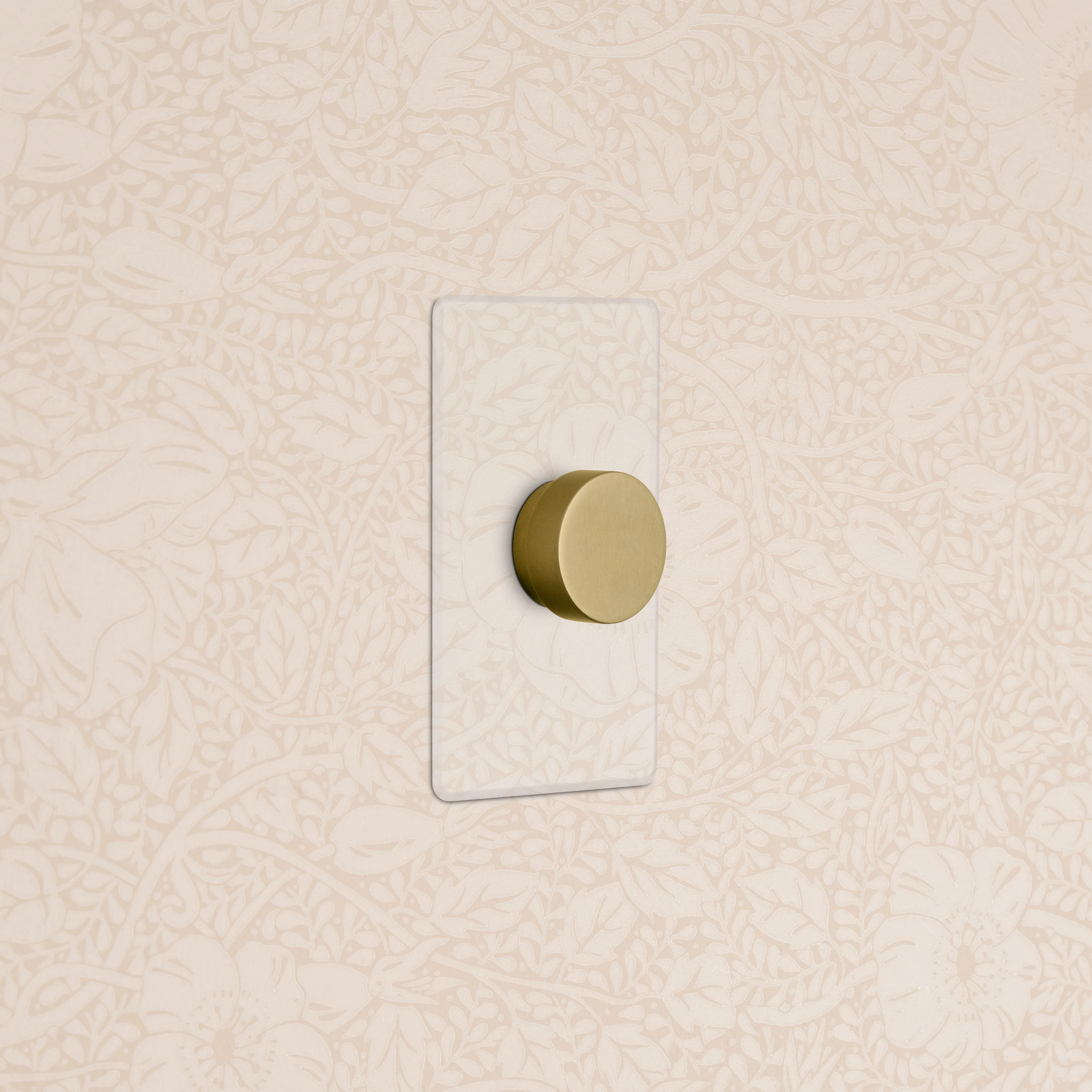 Kew 1G Dimmer Switch - Clear Antique Brass