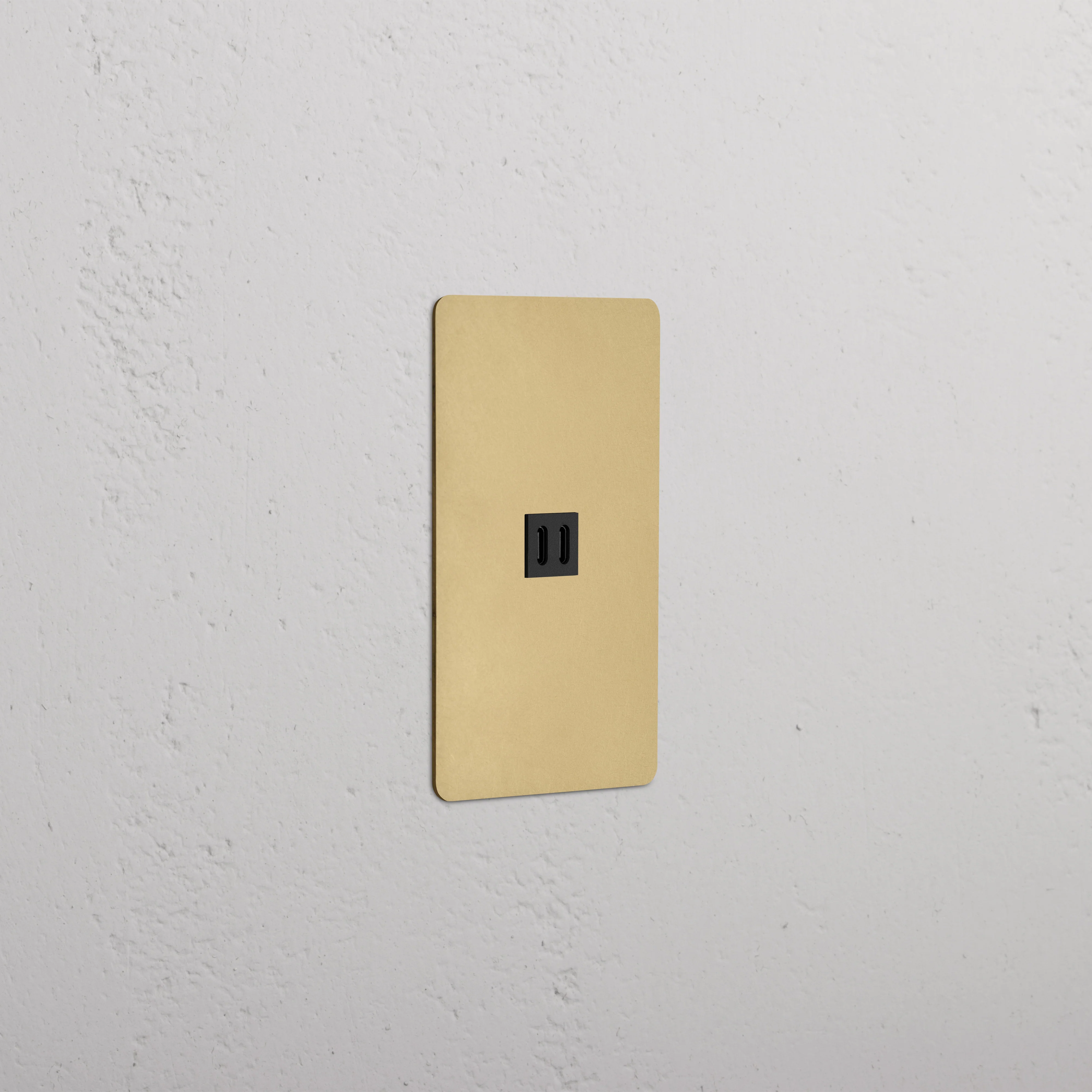 Kew 1G Fast Charge 45W USB Keystone - Antique Brass Black