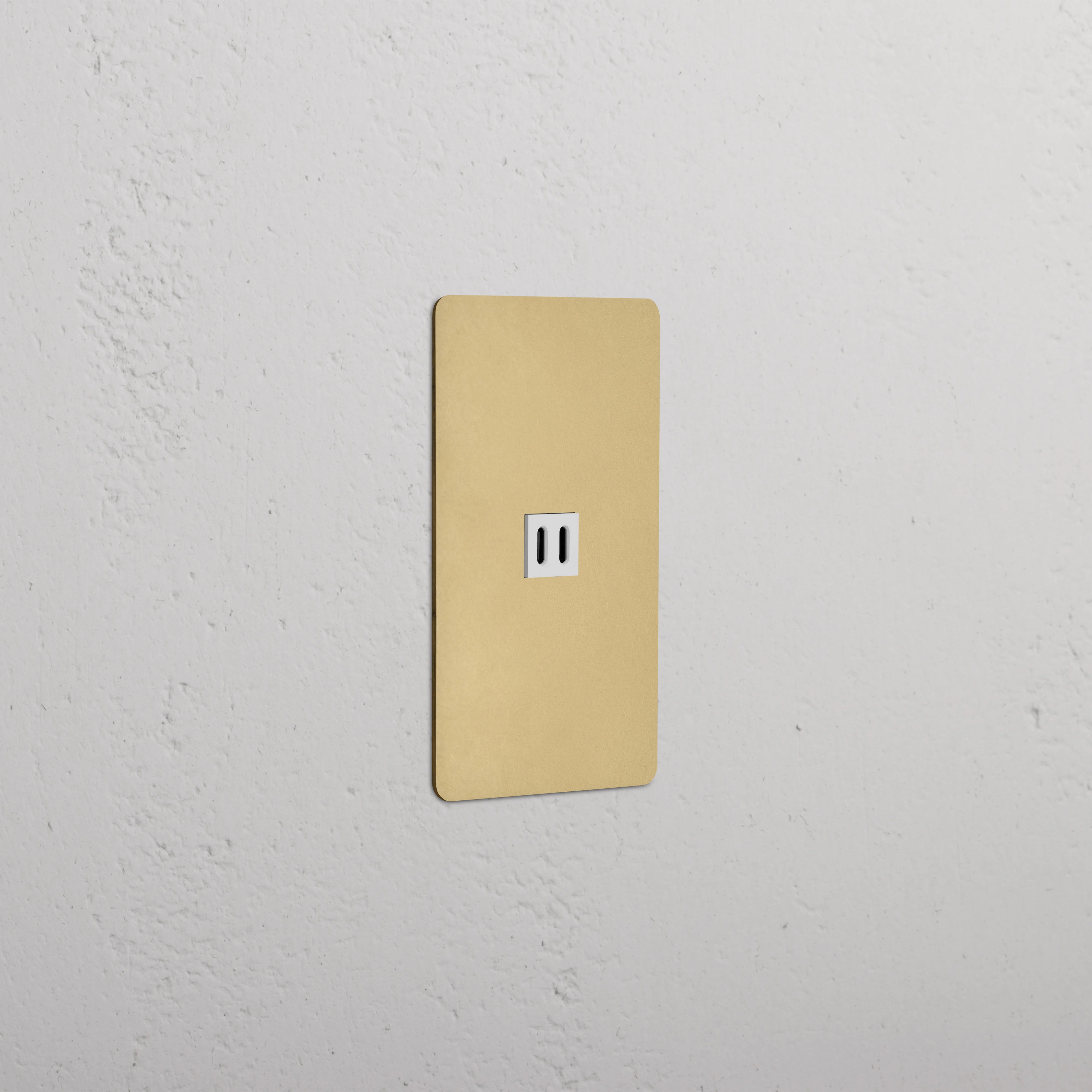 Kew 1G Fast Charge 45W USB Keystone - Antique Brass White