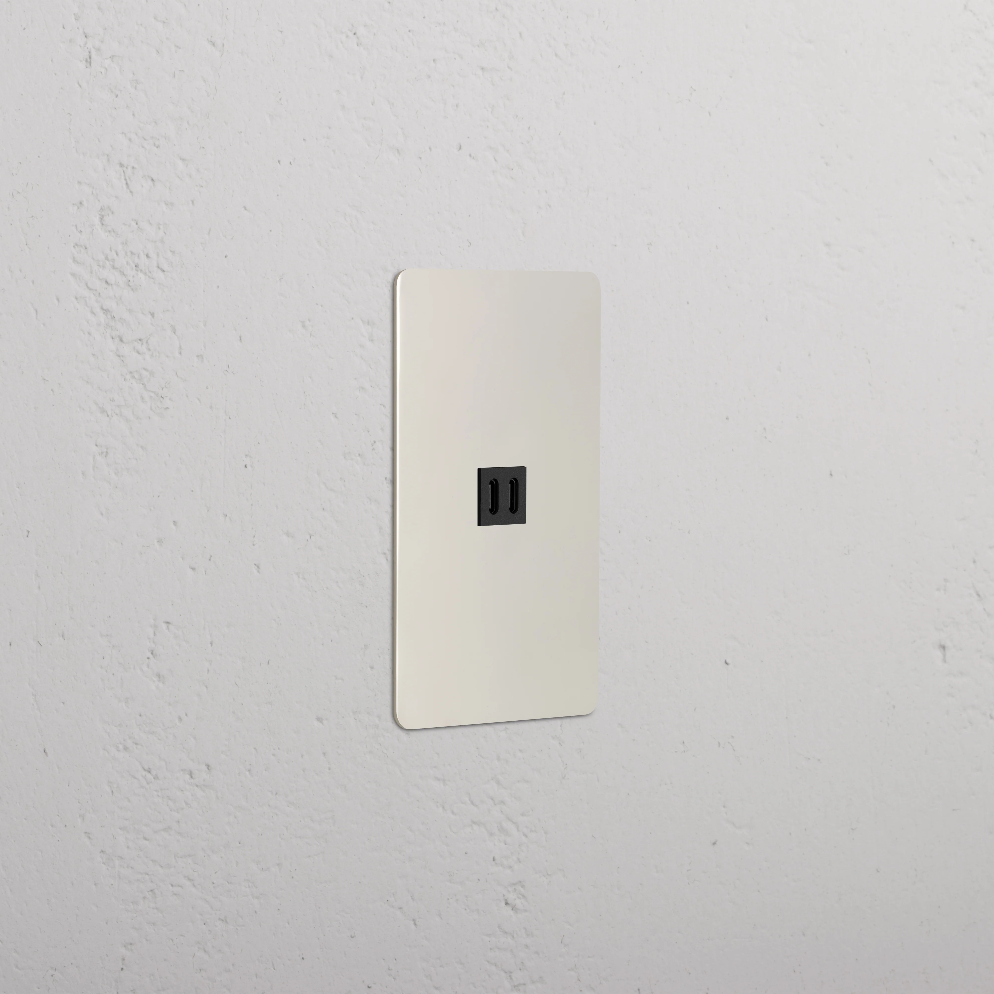 Kew 1G Fast Charge 45W USB Keystone - Polished Nickel Black
