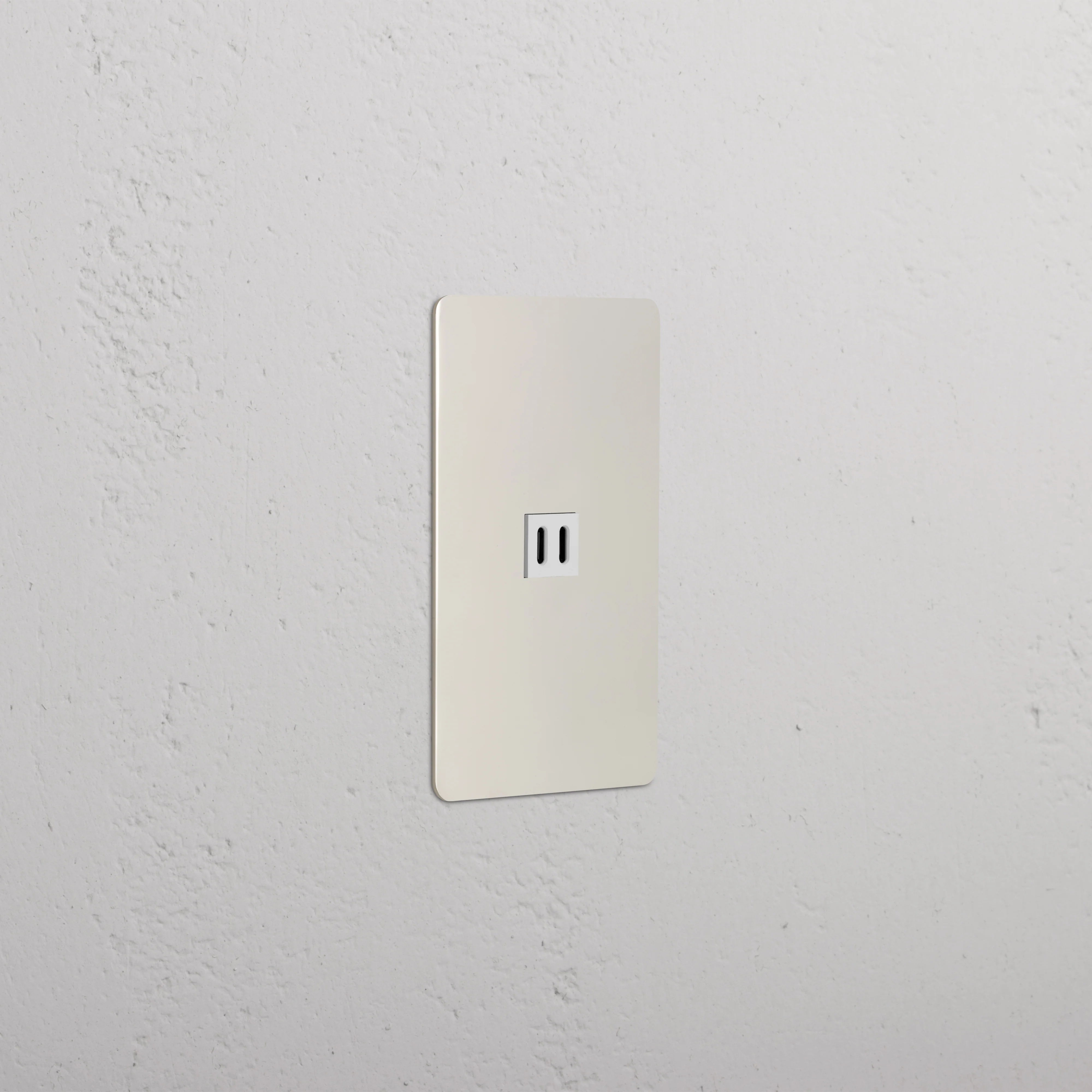 Kew 1G Fast Charge 45W USB Keystone - Polished Nickel White