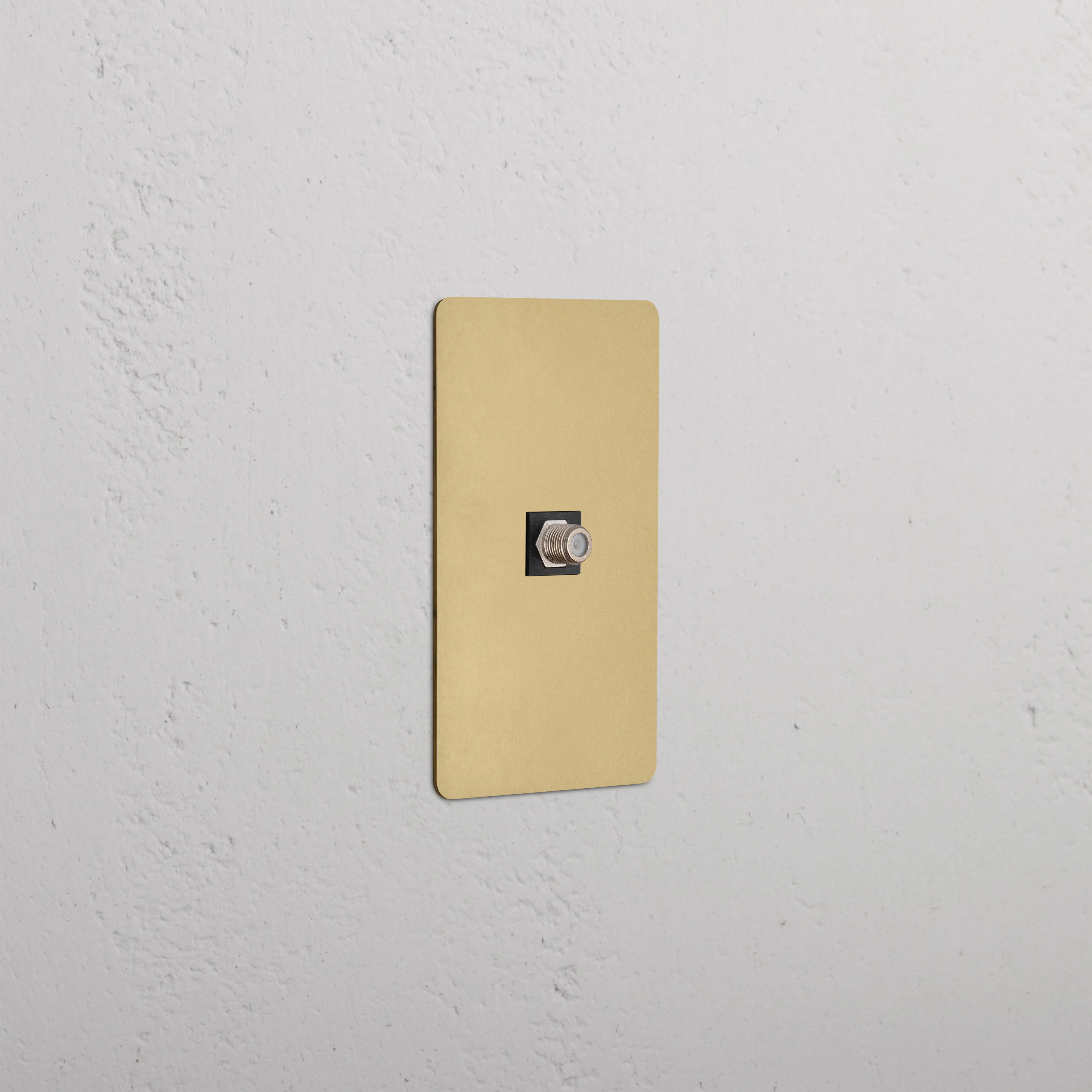 Kew 1G Satellite Keystone - Antique Brass Black