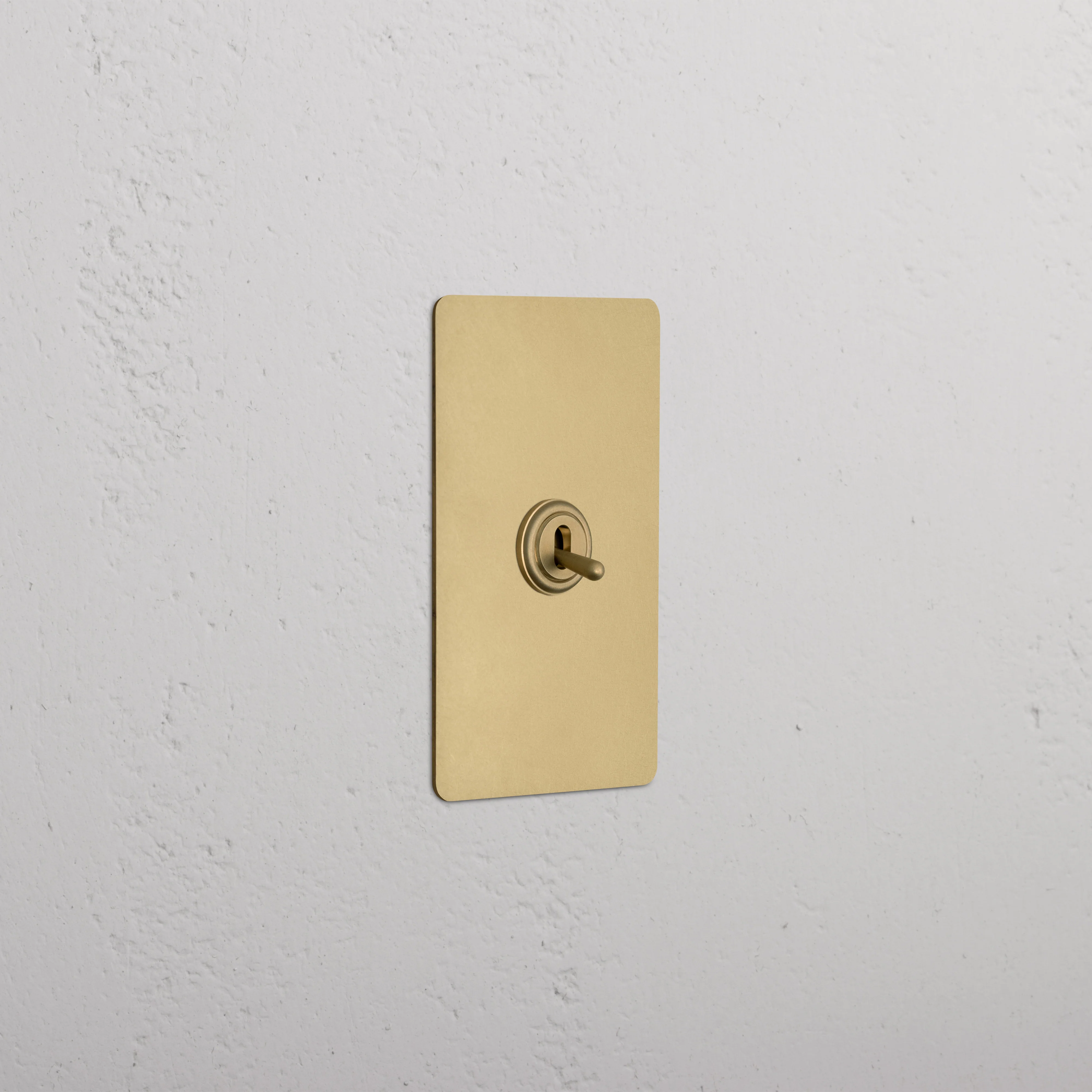 Kew 1G Toggle Switch - Antique Brass