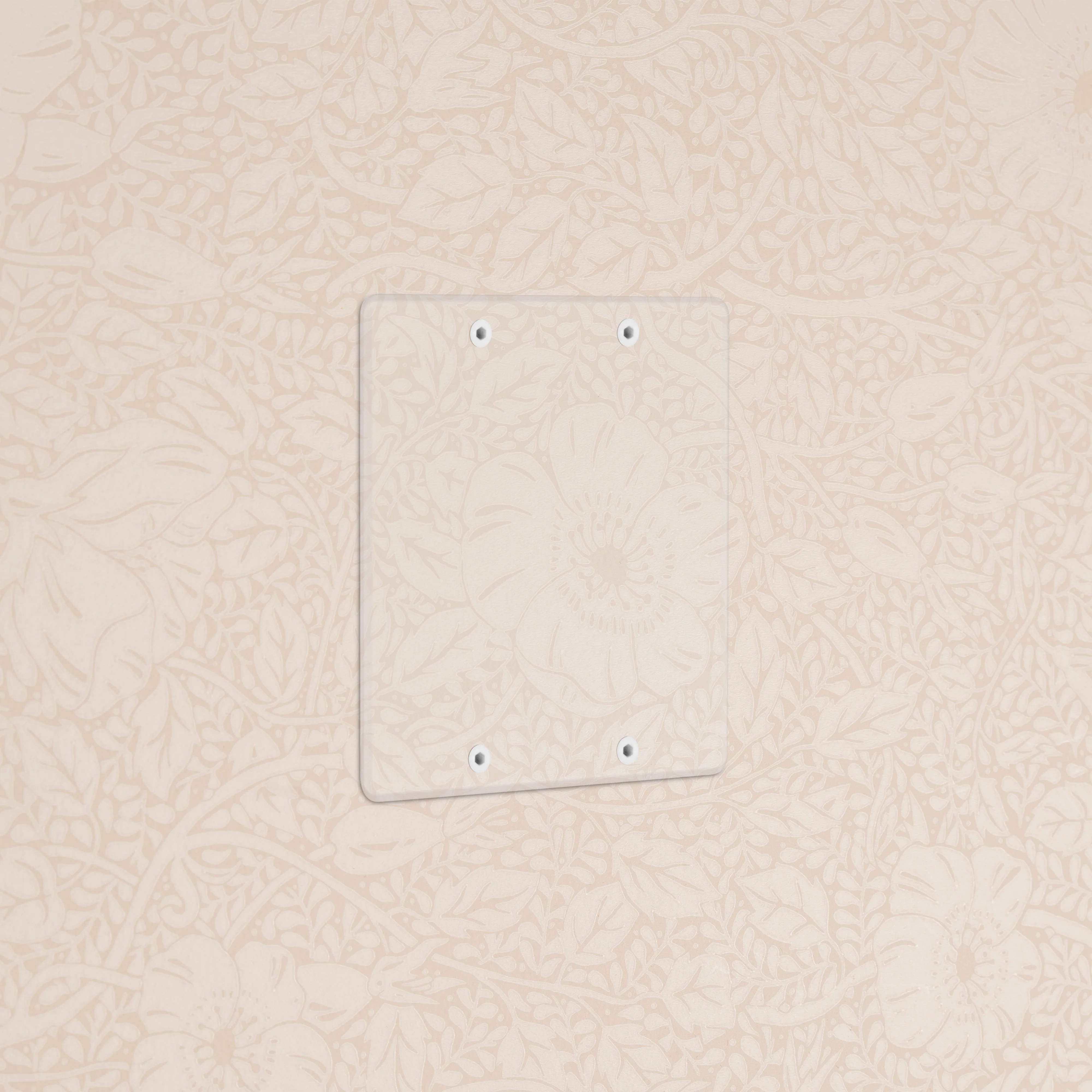 Kew 2G Blank Plate - Clear