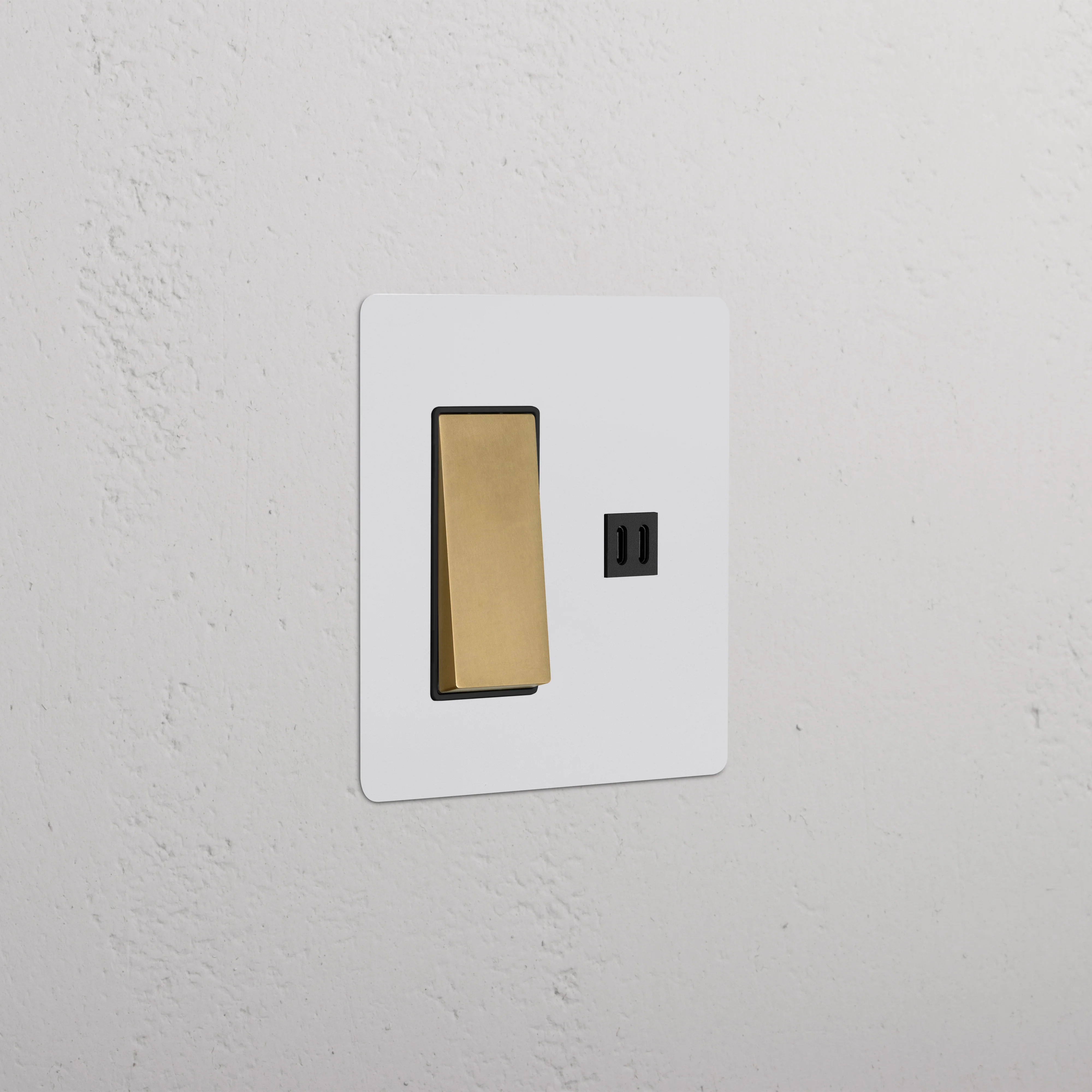 Kew 2G Rocker Switch & Fast Charge USB - Paintable Antique Brass Black