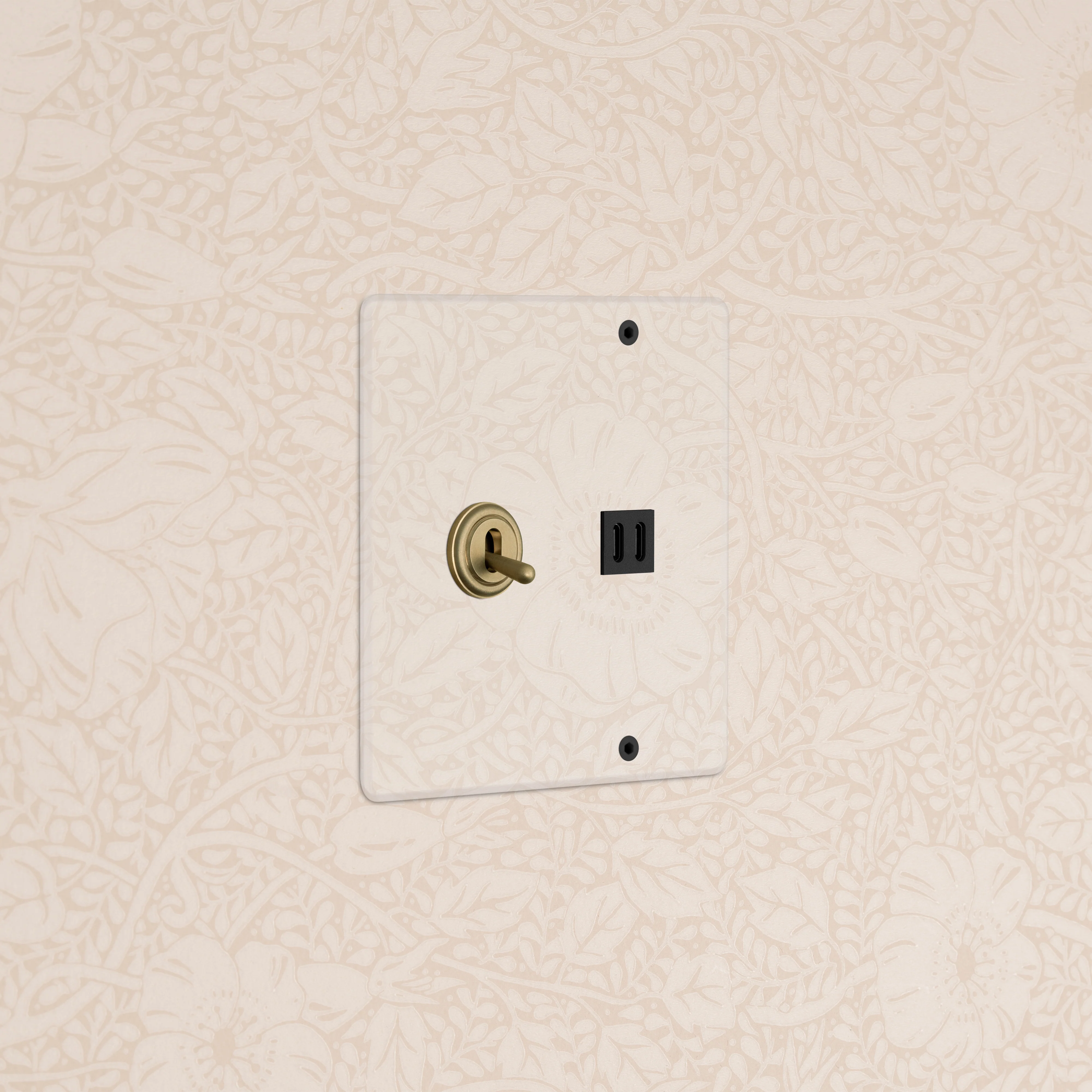 Kew 2G Toggle Switch & Fast Charge USB - Clear Antique Brass Black