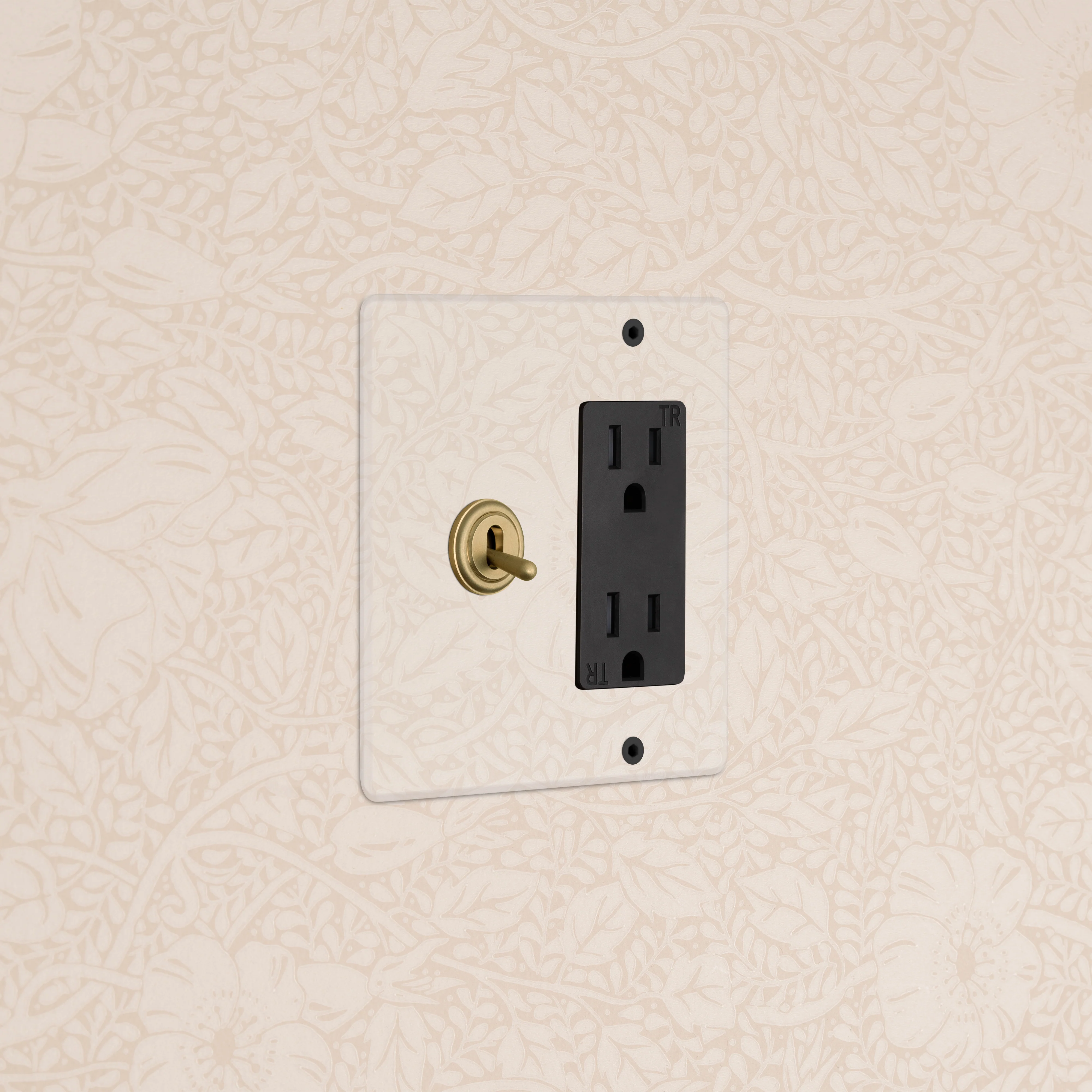 Kew 2G Toggle Switch & Outlet - Clear Antique Brass Black