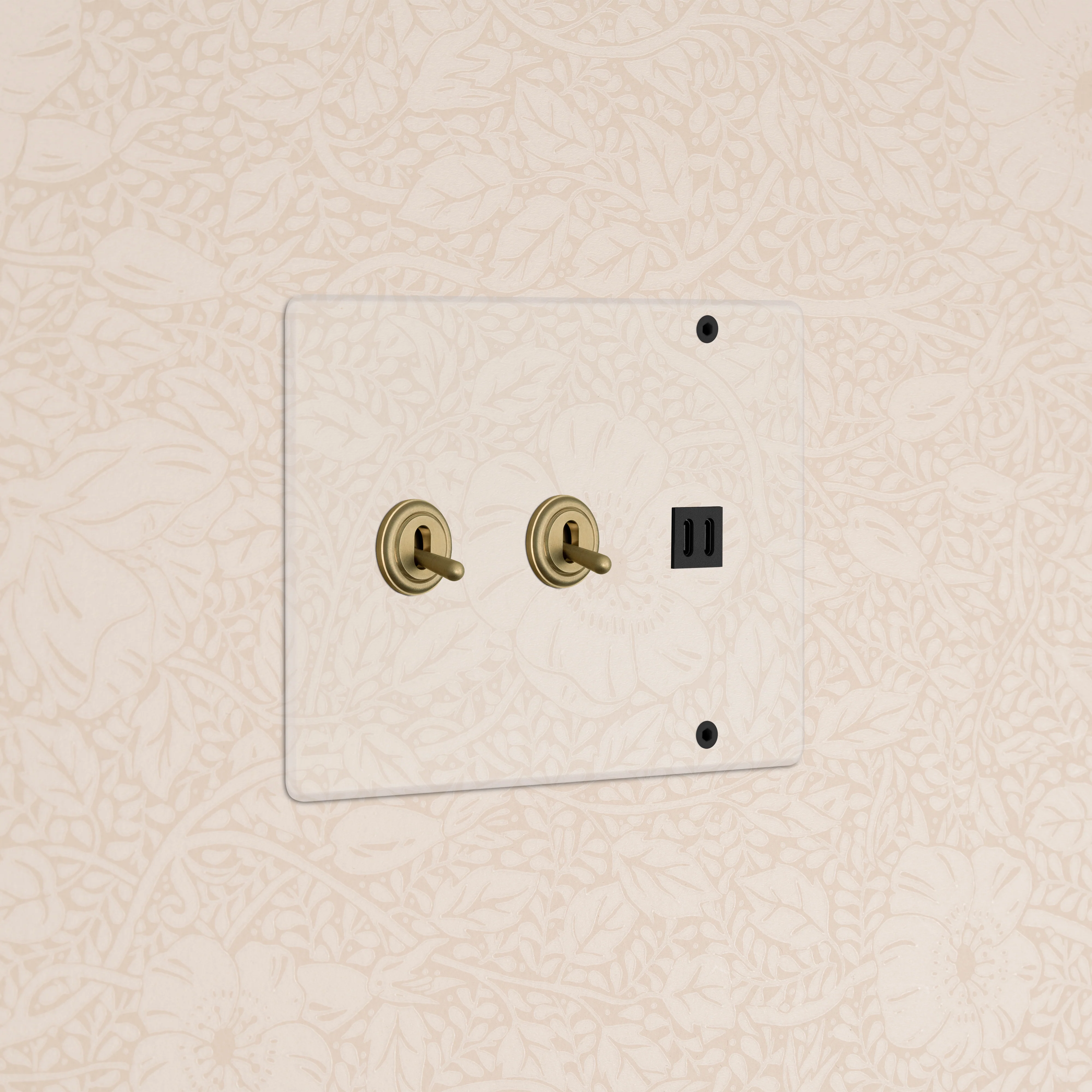 Kew 3G 2x Toggle Switch & Fast Charge USB - Clear Antique Brass Black