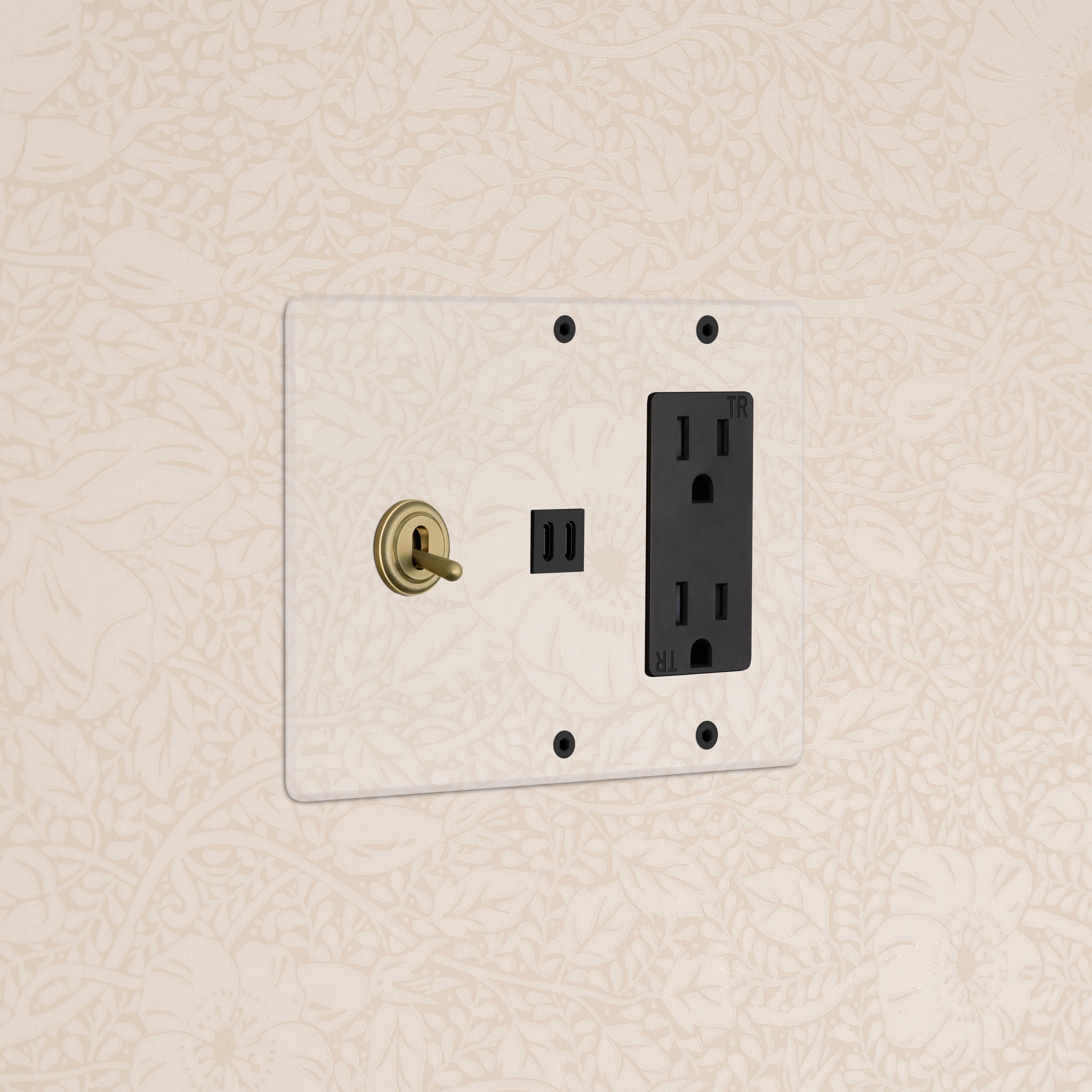 Kew 3G Toggle Switch & Outlet & Fast Charge USB - Clear Antique Brass Black