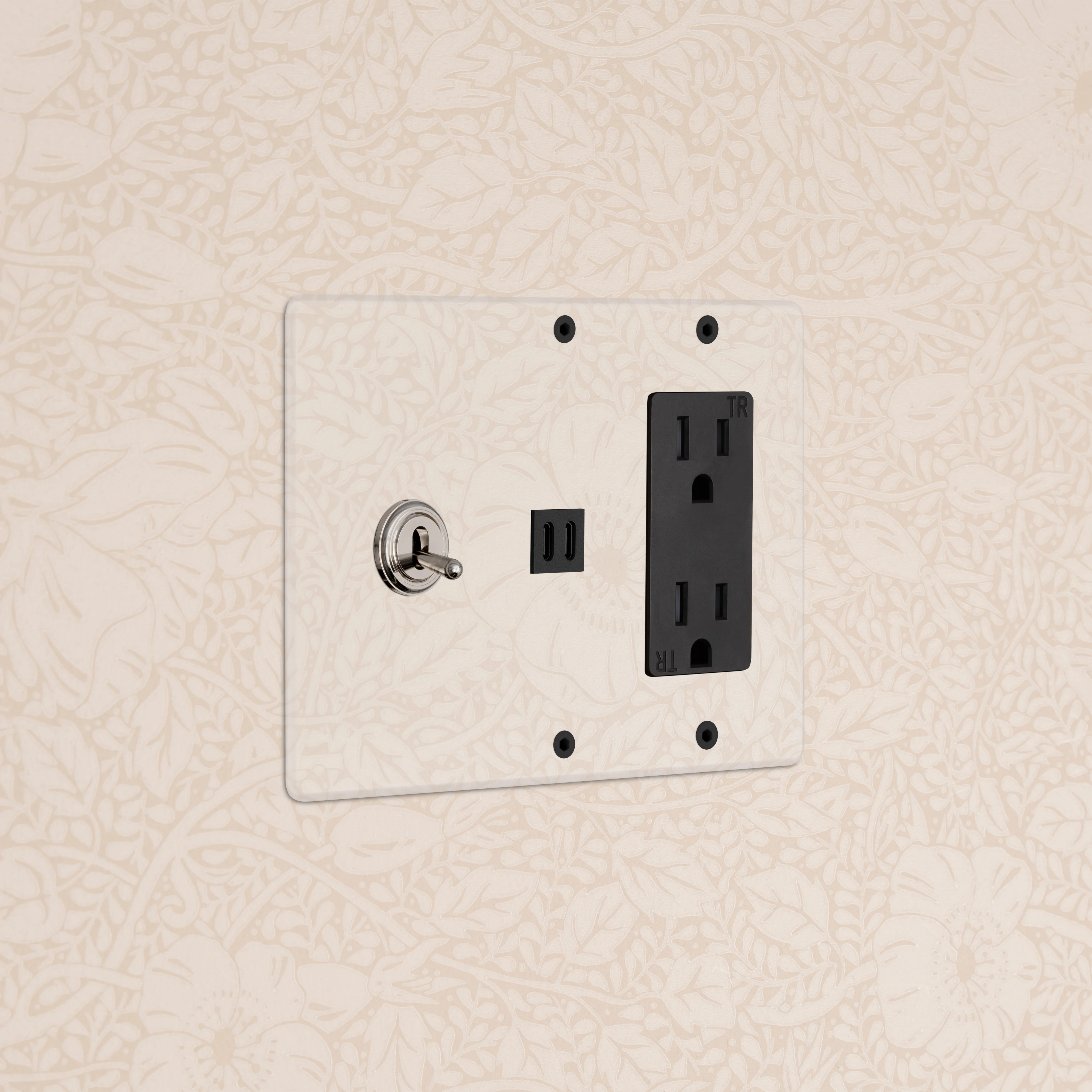 Kew 3G Toggle Switch & Outlet & Fast Charge USB - Clear Polished Nickel Black