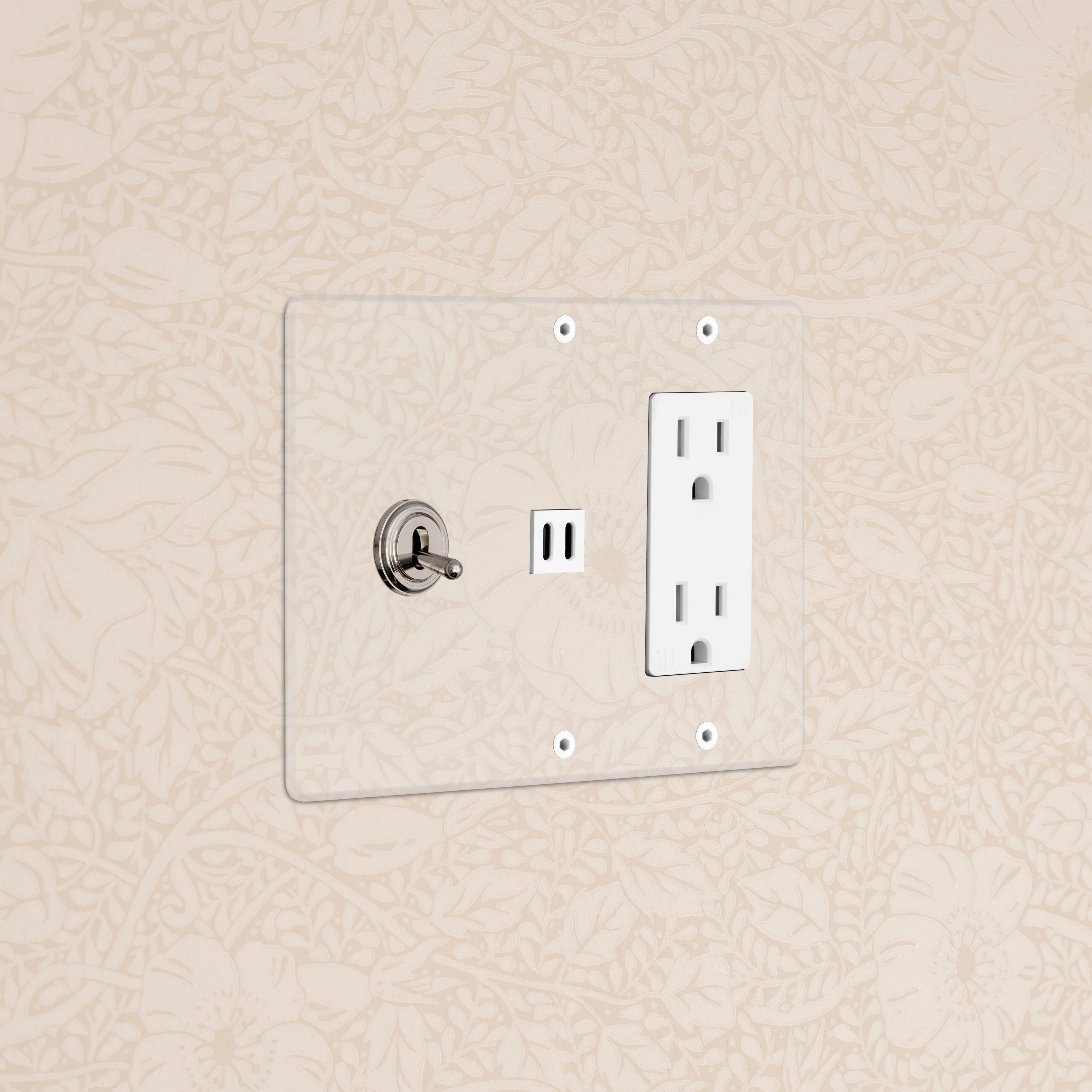 Kew 3G Toggle Switch & Outlet & Fast Charge USB - Clear Polished Nickel White